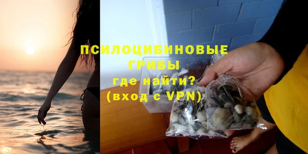 бошки Армянск