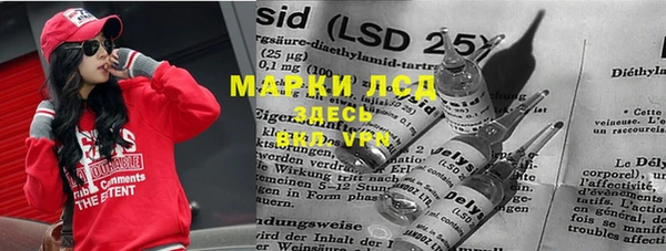ГАЛЛЮЦИНОГЕННЫЕ ГРИБЫ Арсеньев